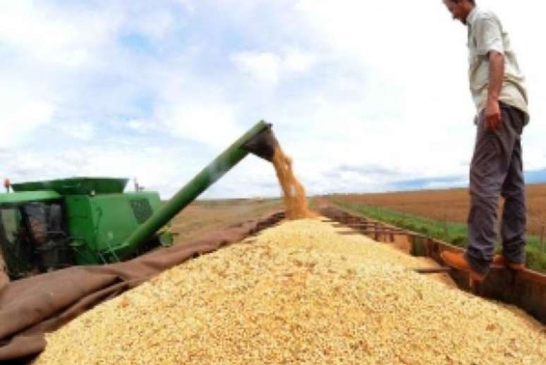 A projeção de crescimento da soja é 7,3% na produção, podendo atingir 102,45 milhões de toneladas, diz o superintendente de Informações do Agronegócio da Conab, Aroldo de Oliveira Netos