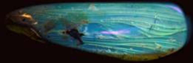 Inicialmente, pensou-se que a cauda emplumada era um material de origem vegetal