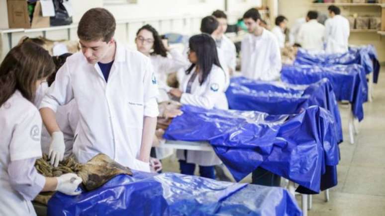 Alunos em aula pr&aacute;tica de anatomia na UFMG; maior abertura de vagas em cursos aumentou demanda por corpos 