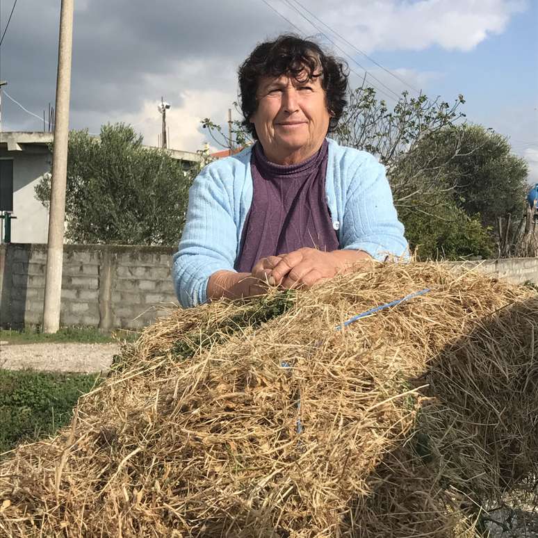 Por causa dos altos índices de desemprego, famílias inteiras trabalham em plantações de maconha na zona rural