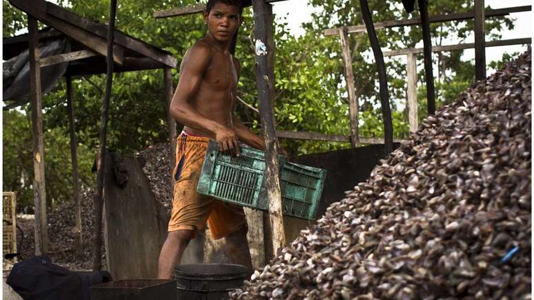 O adolescente Everson Ramos trabalha na coleta de mariscos; atividade envolve homens e mulheres de todas as idades na Ilha de Deus
