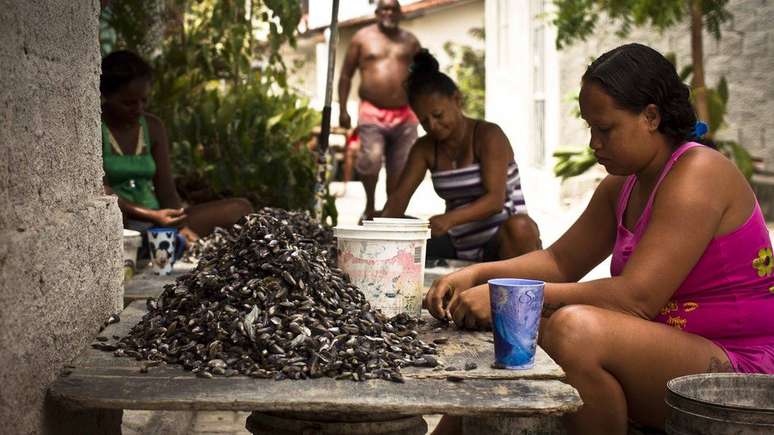 Local que era tomado por palafitas e violência foi urbanizado e encontrou alternativas para crescer