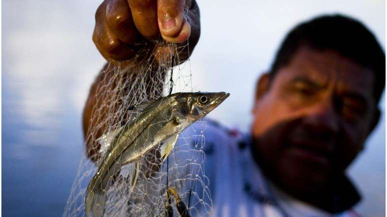&#039;Antes tinha peixe que não acabava mais&#039;, diz o pescador Josias Pedro da Silva, que hoje vive da criação de camarões em cativeiro