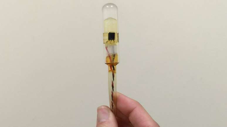 Na fotopletismografia vaginal, é usado dispositivo no formato de um absorvente interno