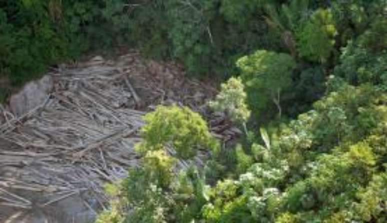 A análise do Greenpeace indicou também que cerca de 15% do desmatamento ocorreu em áreas protegidas