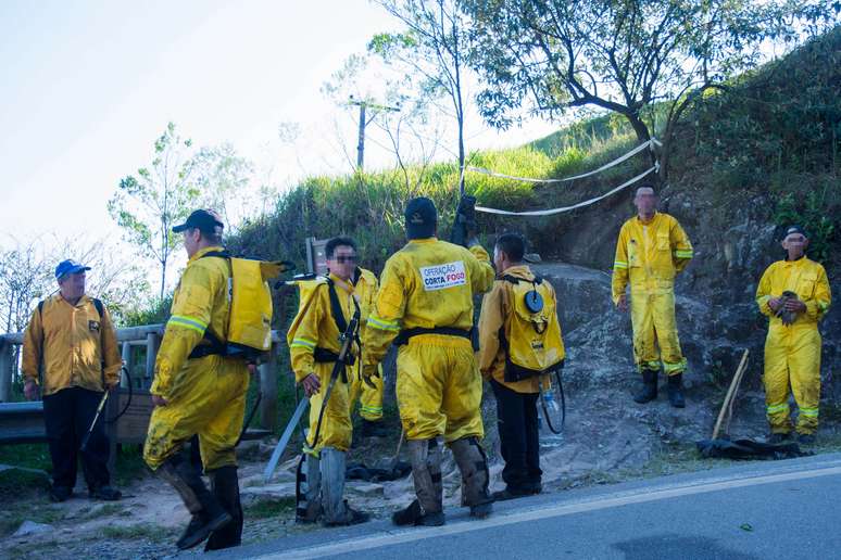 Fogo na mata foi combatido por vários homens da brigada de incêndio e do Corpo de Bombeiros