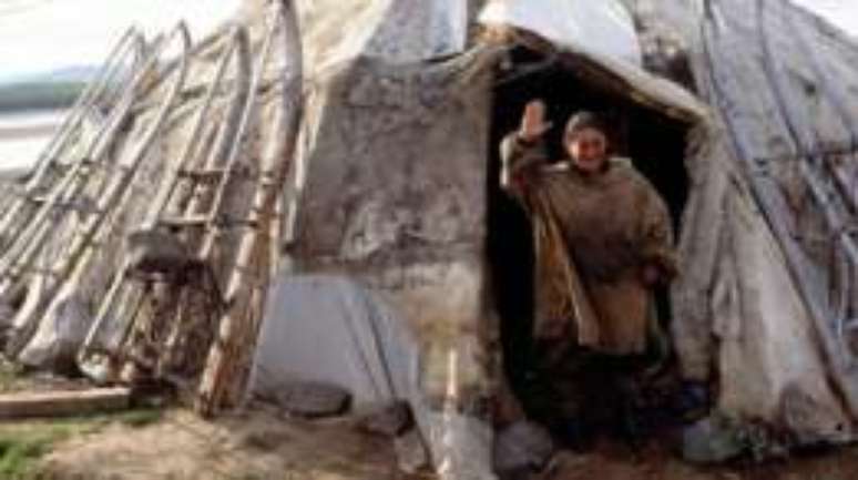 Os Chuckchi usam c&atilde;es como meio de transporte h&aacute; mil&ecirc;nios