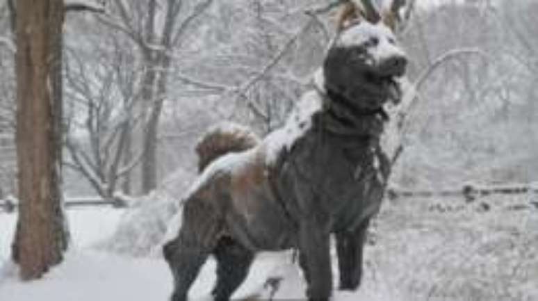 O husky Balto foi homenageado em com uma est&aacute;tua no Central Park