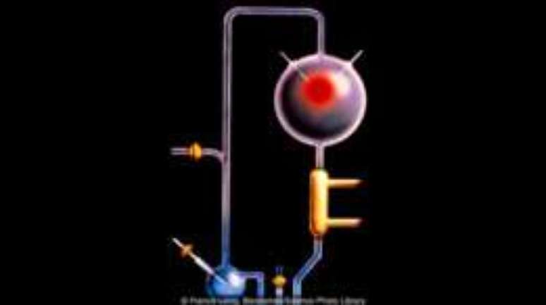 Stanley Miller deu in&iacute;cio ao mais famoso experimento j&aacute; feito sobre a origem da vida