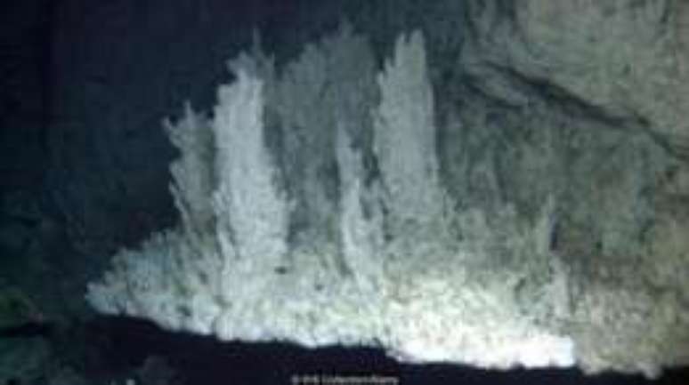 Parte da 'Cidade Perdida' no Atl&acirc;ntico