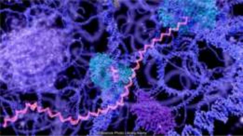 As primeiras c&eacute;lulas devem ter abrigado a qu&iacute;mica da vida