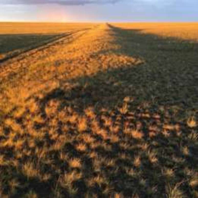 Fam&iacute;lia foi at&eacute; a Mong&oacute;lia