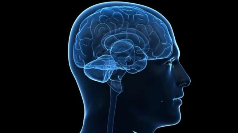 Raz&atilde;o pela qual a doen&ccedil;a do sono &eacute; t&atilde;o mortal &eacute; que ela pode entrar no c&eacute;rebro 