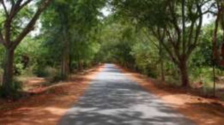 Moradora sonha em ver veículos elétricos nas estradas de Auroville