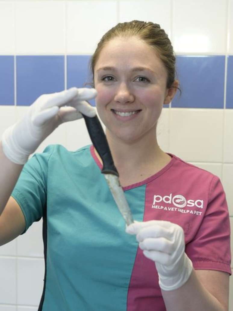A veterinária Emily Ronald mostra a faca retirada do corpo de Macie