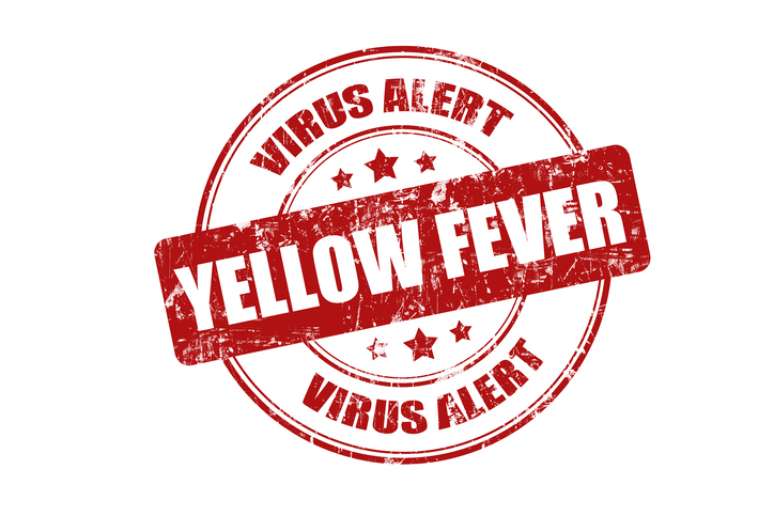 Alerta de vírus da febre amarela