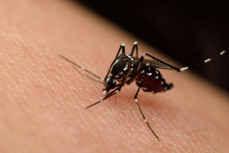 O Brasil não preenche mais os requisitos exigidos para manter o estado de emergência para o zika vírus.