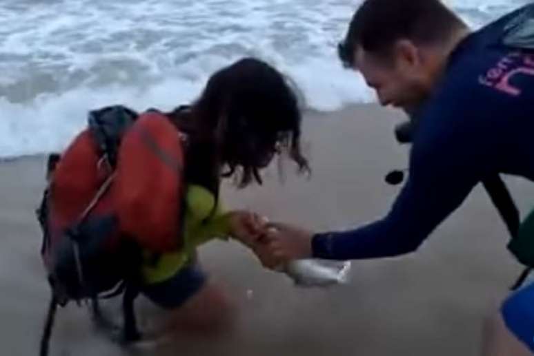 Tubarão mordeu turista após captura em Fernando de Noronha