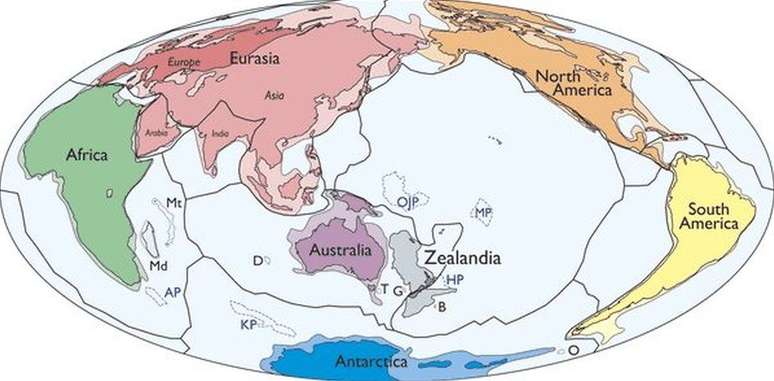 Mapa Mundo Camélia - Lavandiska