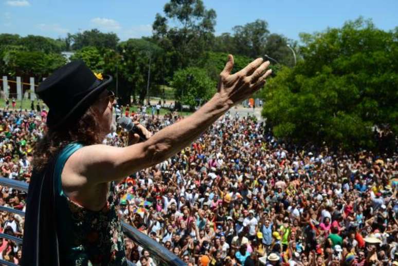 Desfile do bloco Bicho Maluco Beleza,comandado por Alceu Valença, no Parque do Ibirapuera