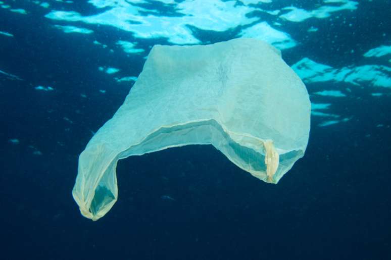 Para o ano 2020, a campanha propõe que sejam totalmente eliminadas as maiores fontes de plástico no mar: os microplásticos de cosméticos e as embalagens descartáveis.