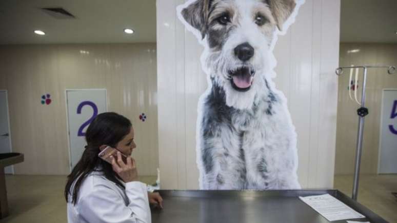 Silvia Viruega é uma das mais renomadas veterinárias do México 