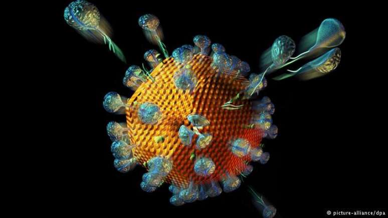 Aids &eacute; uma doen&ccedil;a viral causada pelo v&iacute;rus HIV