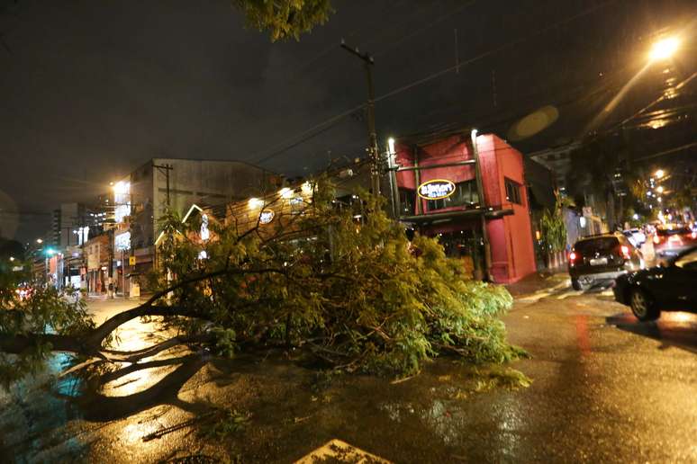 Tempestade que atingiu a cidade de São Paulo nessa terça-feira (7) provocou a queda de várias árvores e alagou áreas por todas as regiões