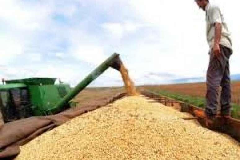 Este ano, devem ser colhidas 224,2 milhões de toneladas de cereais, leguminosas e oleaginosas, sendo 93% de soja, milho e arroz