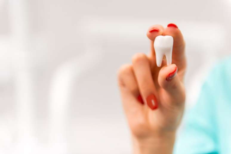 A cor dos dentes decíduos é mais esbranquiçada. Por isso são chamados de dente de leite. 