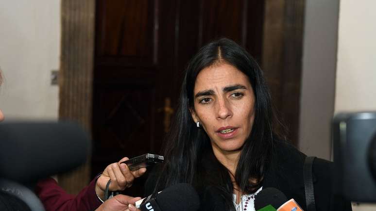 A presidente da Câmara dos Deputados da Bolívia, Gabriela Montaño, disse que a proposta não é descriminalizar o aborto, mas adequar essa tipificação penal à realidade do país