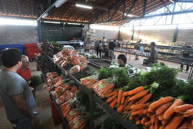 Chuvas e calor comprometem produção de alface e cenoura. Preços sobem até 104,87%