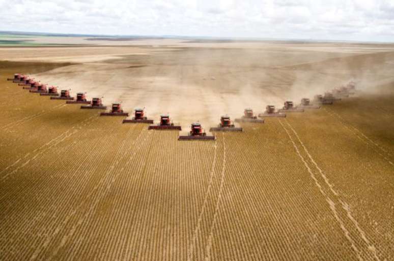 Plantação em Mato Grosso do Sul; agrotóxicos são amplamente usados no Brasil