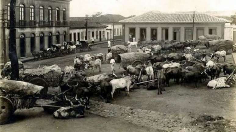 Alguns mascates fizeram fortuna conduzindo e vendendo pequenos rebanhos de fazenda em fazenda