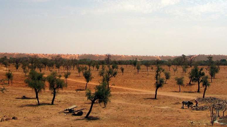 O Sahel é uma zona de transição, que atravessa 16 países da África, entre o deserto do Saara e a savana sudanesa