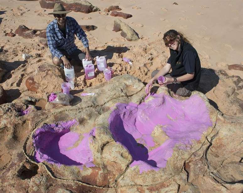 Cientista masca pegada de dinossauro com coloração rosa na Austrália