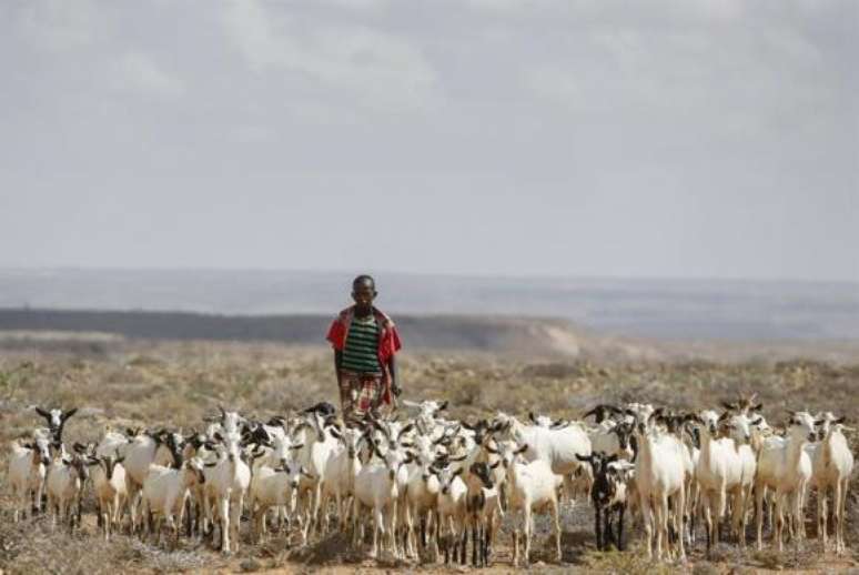 Um homem conduz seu rebanho de ovelhas – o único sustento de sua família – em busca de água para os animais, na cidade de Bandarbeyla. O Conselho de Segurança da ONU já pediu ajuda para dar assistência a 6,2 milhões de somalis – metade da população do país, que enfrentam a fome por causa da seca prolongada