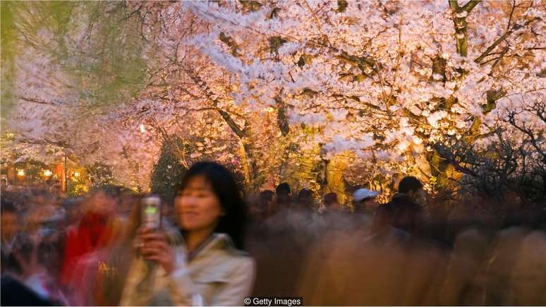 Wabi-sabi &eacute; um termo japon&ecirc;s que descreve nossa aprecia&ccedil;&atilde;o da beleza transit&oacute;ria e imperfeita - como o esplendor das flores de cerejeira