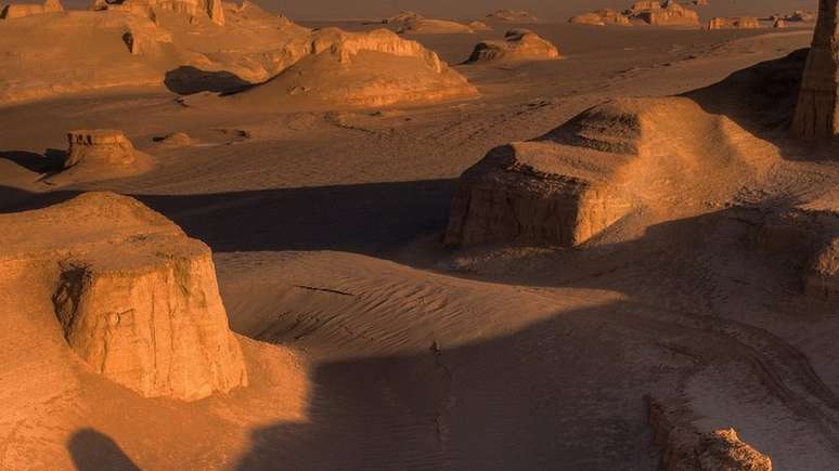 Mesmo com as temperaturas extremas, há registros de vida animal no deserto