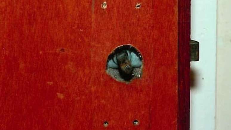 A maçaneta da porta do quarto havia sido retirada para impedir que a vítima escapasse