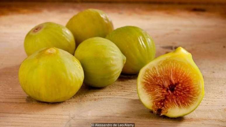 Os figos sustentam uma s&eacute;rie de animais