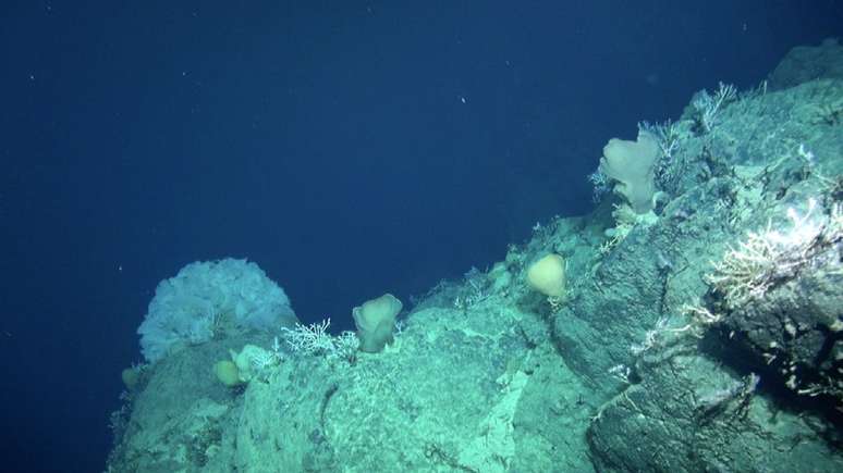 A descoberta do Mont Tropic levanta o debate sobre vantagens e riscos da mineração no fundo do mar