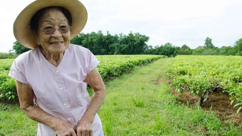 Ela conta que limpou a planta&ccedil;&atilde;o 'rastejando que nem jacar&eacute;'