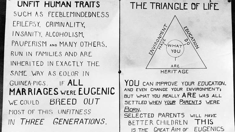 Cartazes afirmava que tanto a epilepsia quanto a pobreza são herdadas e que no 'triângulo da vida' se pode melhorar a educação, o ambiente, mas não se pode fazer nada para melhorar a hereditariedade