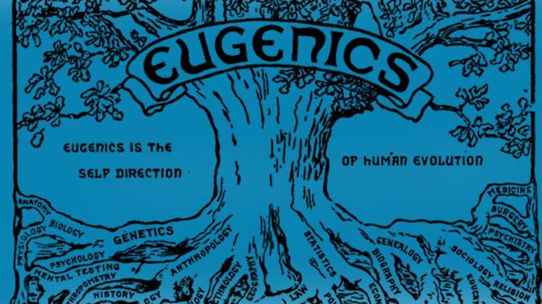 A logomarca do programa de eugenia dizia: 'Eugenia é a direção própria da evolução humana. Como uma árvore, retira seus materiais de muitas fontes e os organiza em uma unidade harmoniosa'