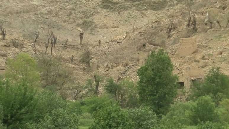 Ainda há árvores intactas na área do impacto; 'bomba não é tão poderosa quanto se pensa', disse oficial afegão