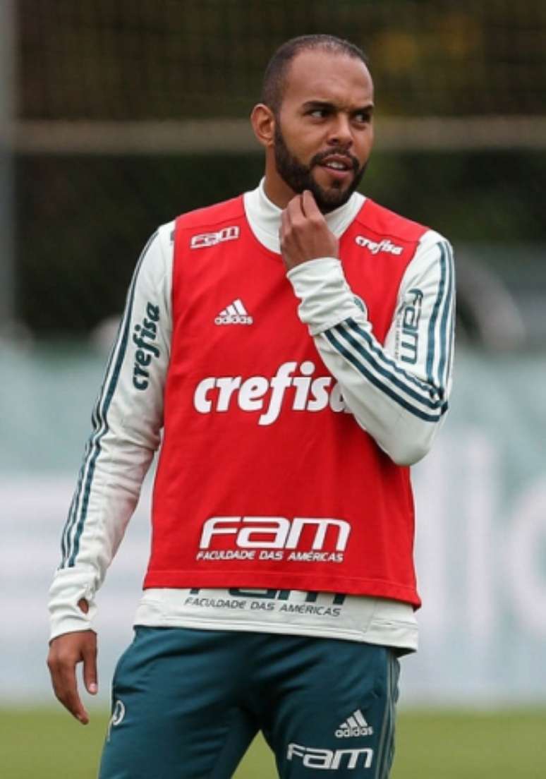 Alecsandro pode estar de saída rumo ao Bahia (Foto: Agência Palmeiras)