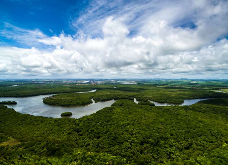 Imagem aérea da Amazônica brasileira