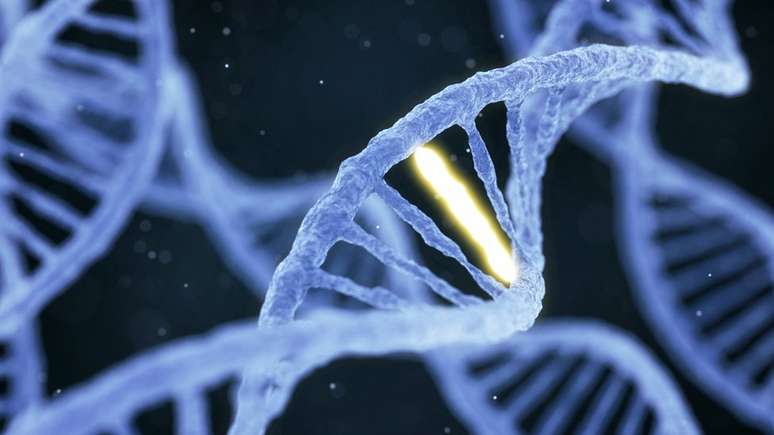 Engenharia genética é hoje disseminada. Até onde ela poderá evoluir?