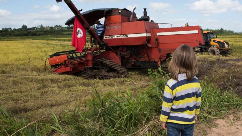 Menino observa colheita de arroz orgânico pelo MST no RS; produtores do movimento exportam produto para a Europa